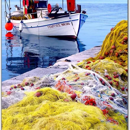 Veneti - Probio - 140m2 ניאה מודאניה